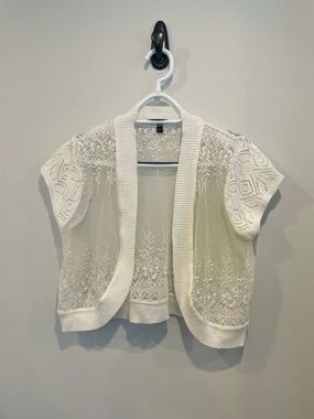 Delicate Sheer Embroidered Open Cardigan in Ivory